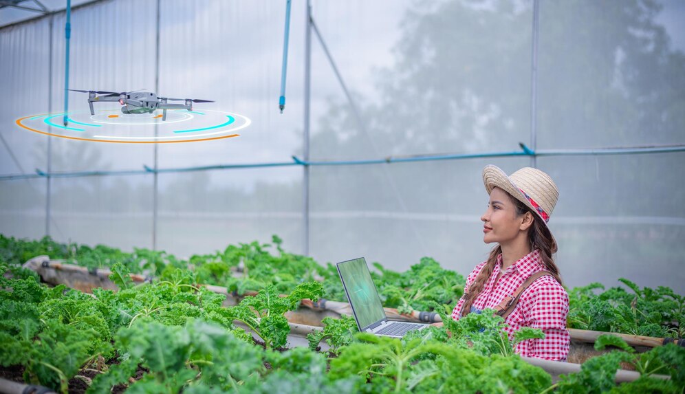 Controlled Environment Agriculture Market Size And Share Trends: 2024-2033